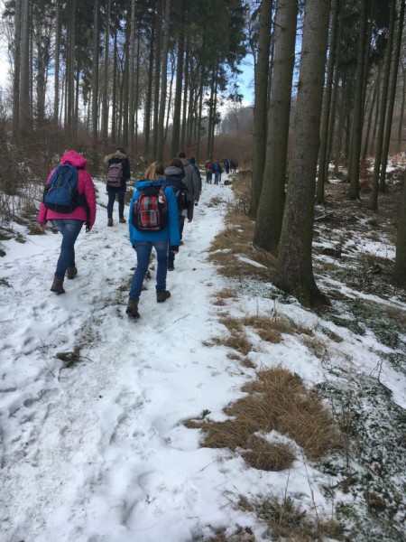 2-Winterwanderung2017
